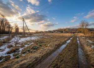 не призначена (с. Забучье, Киево-Святошинский район) - Продається сільськогосподарська ділянка, 45000 $ - АФНУ