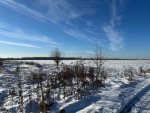ділянка №282 (с. Микуличи, Бородянский район) - Продається ділянка під забудову, 10000 $ - АФНУ