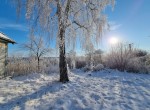 вул. Набережна, 10-а (с. Леоновка, Макаровский район) - Продається ділянка під забудову, 22000 $ - АФНУ