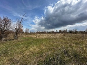 не призначена (пгт. Гостомель, г. Ирпень) - Продається сільськогосподарська ділянка, 3000 $ - АФНУ