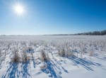 не відомо (пгт. Гостомель, г. Ирпень) - Продається сільськогосподарська ділянка, 15000 $ - АФНУ