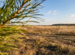 не призначена (с. Лесное, Киево-Святошинский район) - Продається ділянка під забудову, 10000 $ - АФНУ
