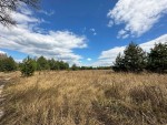 не призначена (с. Дмитровка, Киево-Святошинский район) - Продається сільськогосподарська ділянка, 11000 $ - АФНУ