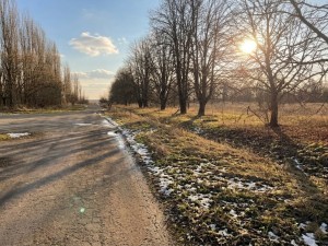вул. Каштаноа, 13 (с. Мироцкое, Киево-Святошинский район) - Продається ділянка під забудову, 9000 $ - АФНУ