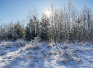 ділянка №5 (пгт. Гуйва, Житомирский район) - Продається ділянка під забудову, 5000 $ - АФНУ